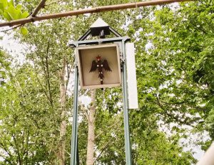 IMG 20220526 133846 HDR