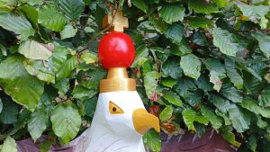 IMG 20250721 094809 1