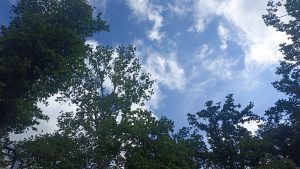 IMG 20260514 103518